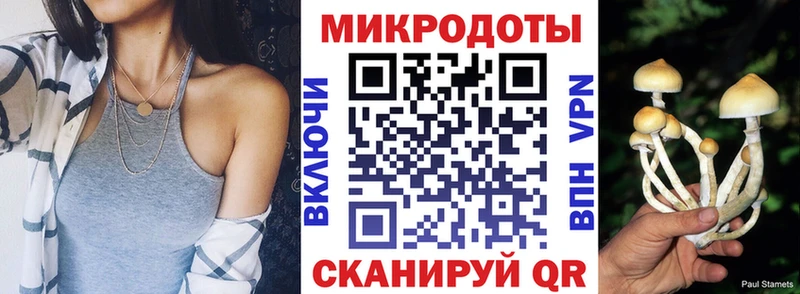 Галлюциногенные грибы MAGIC MUSHROOMS  Купить закладки  Чусовой 